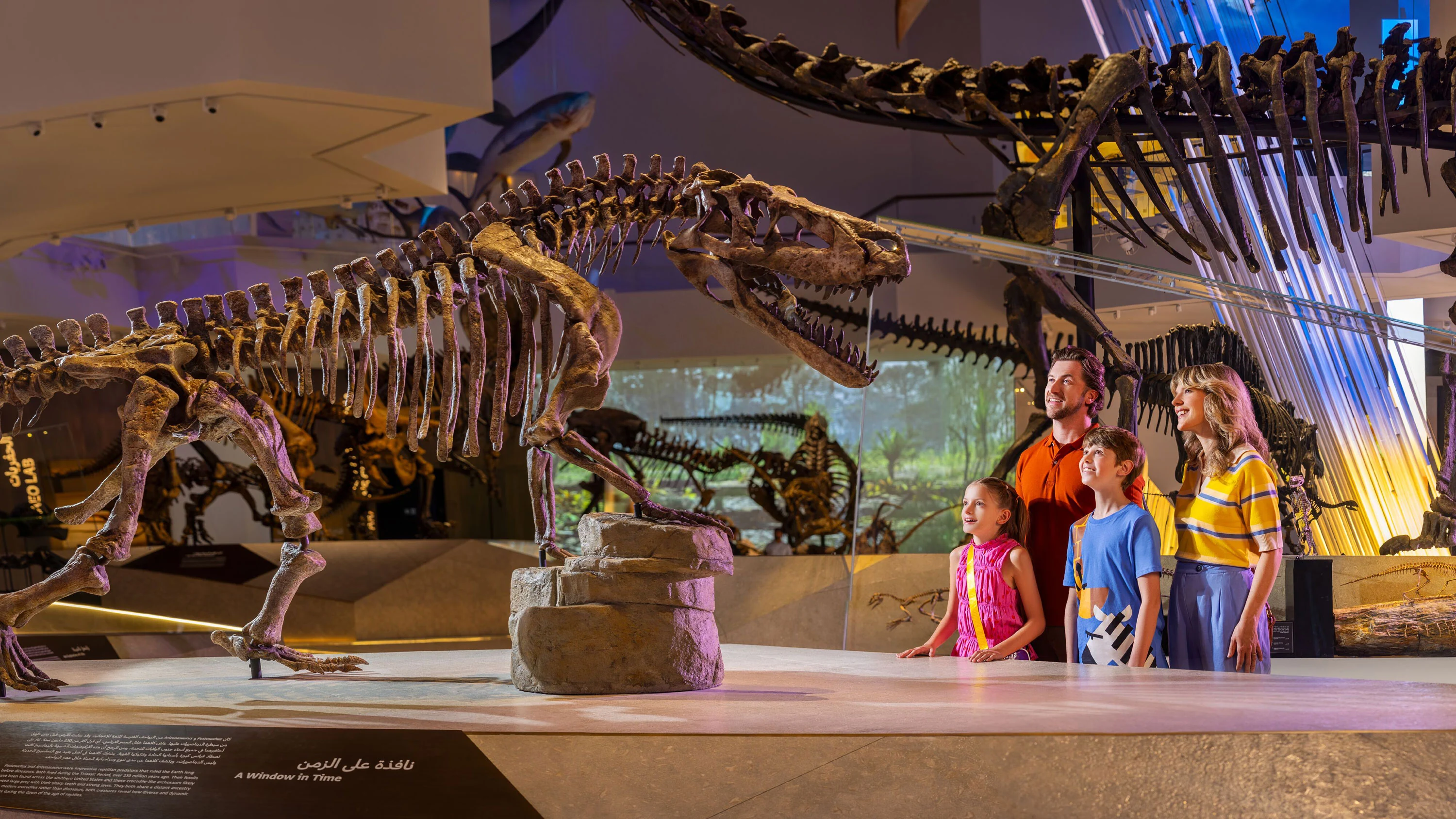 Natural History Museum